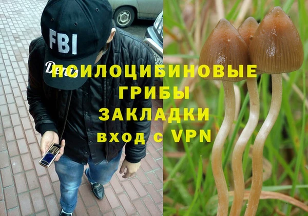ECSTASY Волосово
