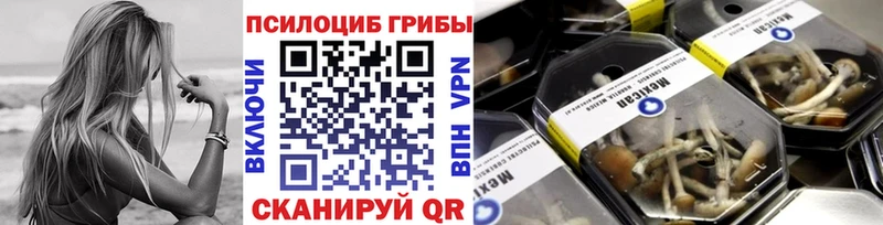 Галлюциногенные грибы GOLDEN TEACHER  omg онион  Кизилюрт 