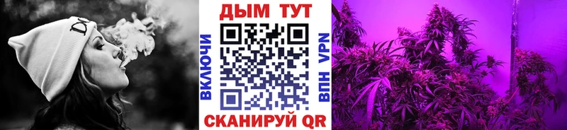 Каннабис семена  где найти наркотики  Кизилюрт 